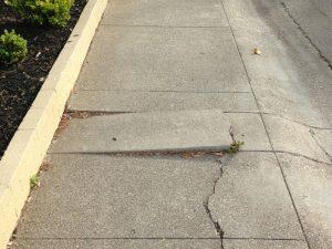 Homeowners in Denver required to pay for sidewalk repairs,TheColoradoBroker